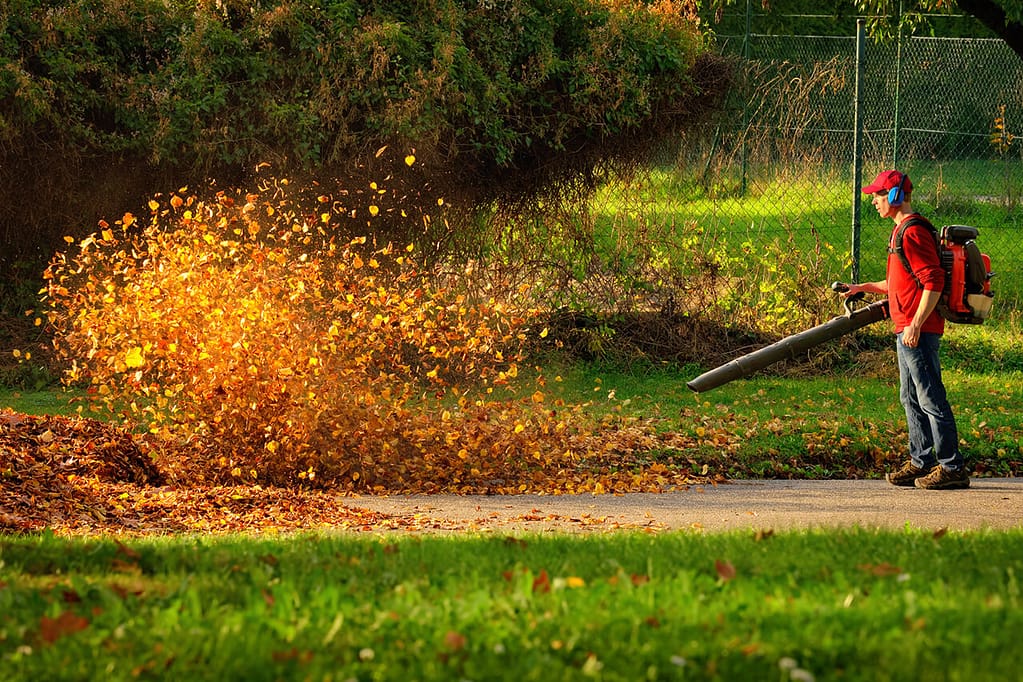 cleanup-services -